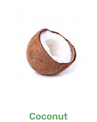 img_coconut