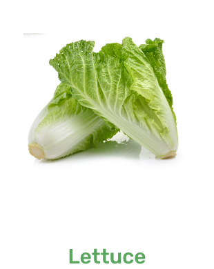 img_lettuce